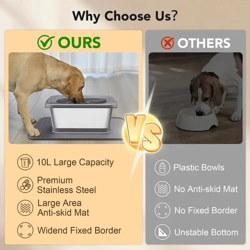 Dog Stainless Steel Water Bowl with Mat-4